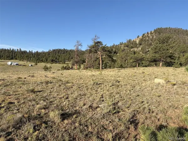 100 Park, Hartsel, CO 80449