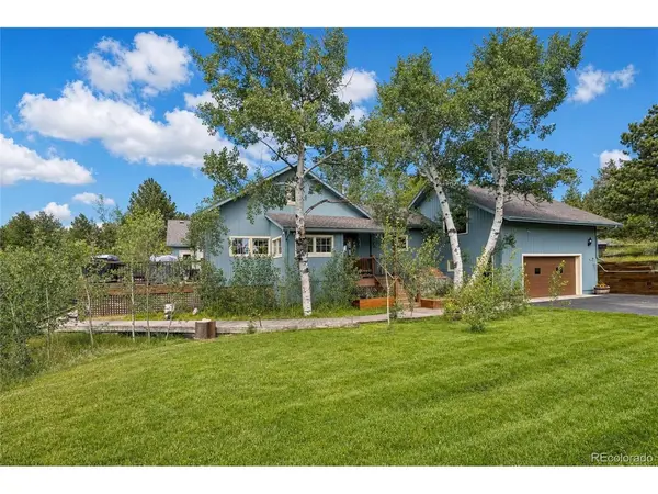 338 County Road 84, Allenspark, CO 80510