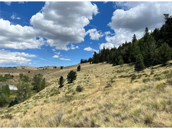 Highway 160, Fort Garland, CO 81133