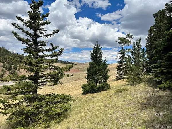 Highway 160, Fort Garland, CO 81133