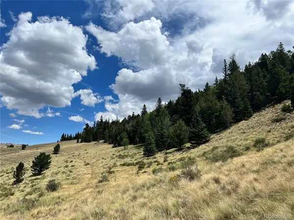 Highway 160, Fort Garland, CO 81133