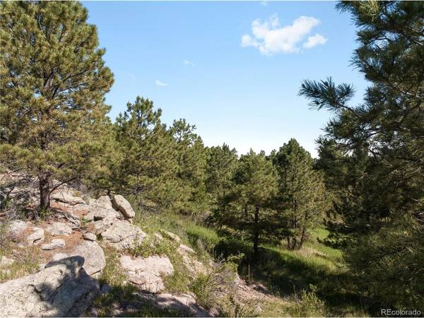 18673 N Elbert, Elbert, CO 80106