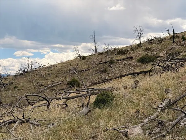 0 J Path, Cotopaxi, CO 81223
