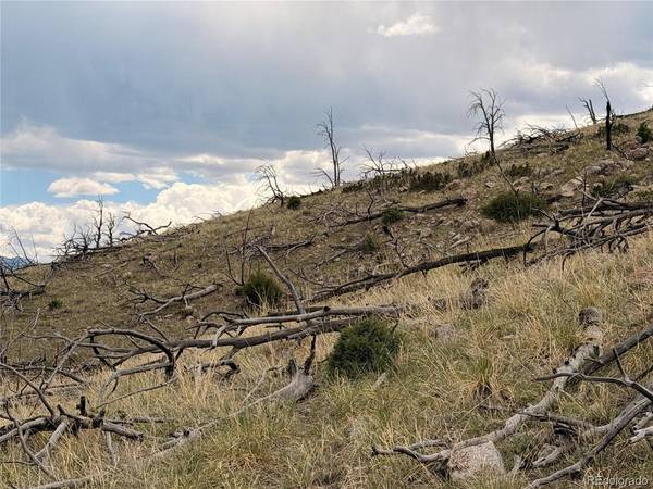 0 J Path, Cotopaxi, CO 81223