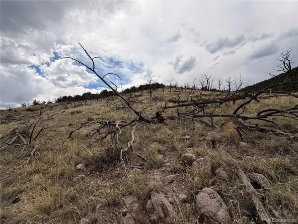 0 J Path, Cotopaxi, CO 81223