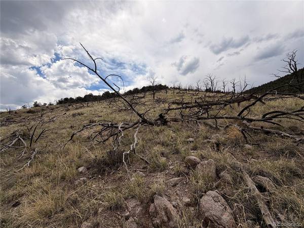 0 J Path, Cotopaxi, CO 81223