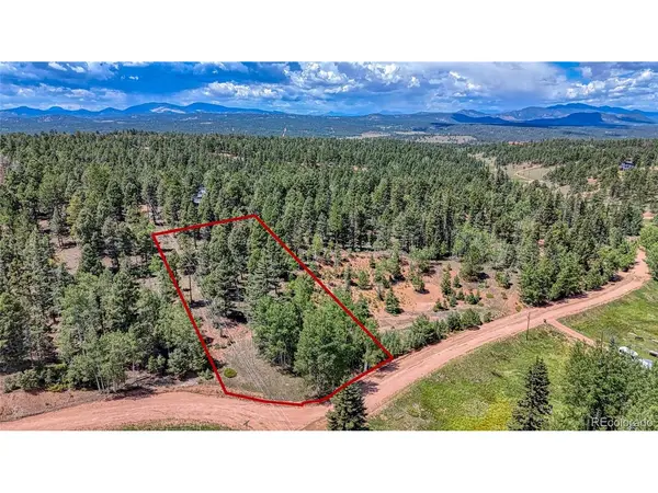 244 Spring Valley, Florissant, CO 80816