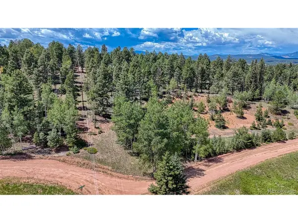 244 Spring Valley, Florissant, CO 80816
