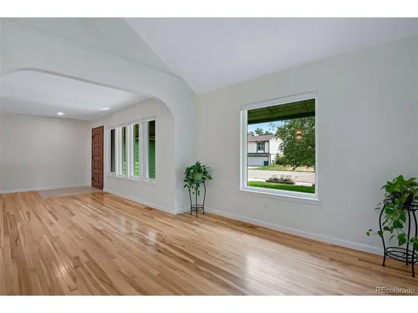4435 S Van Gordon, Morrison, CO 80465