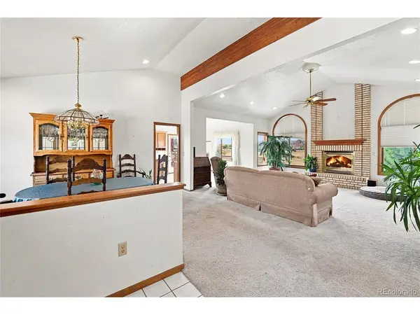 11226 Panorama, Parker, CO 80138