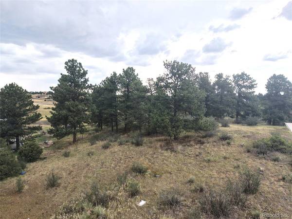 46341 Needleleaf, Parker, CO 80138