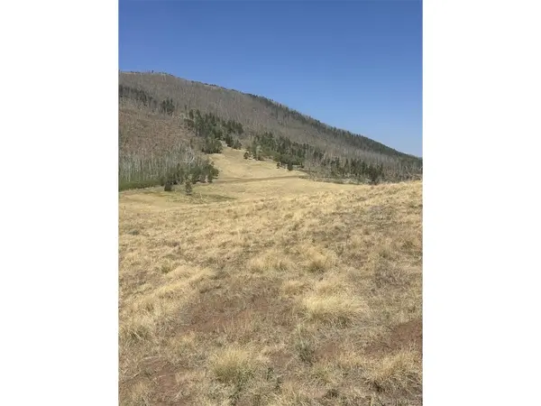 2343 Sigler, Fort Garland, CO 81133