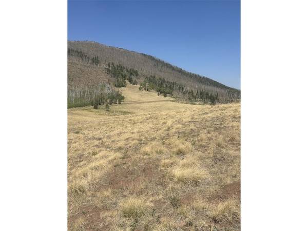 2343 Sigler, Fort Garland, CO 81133