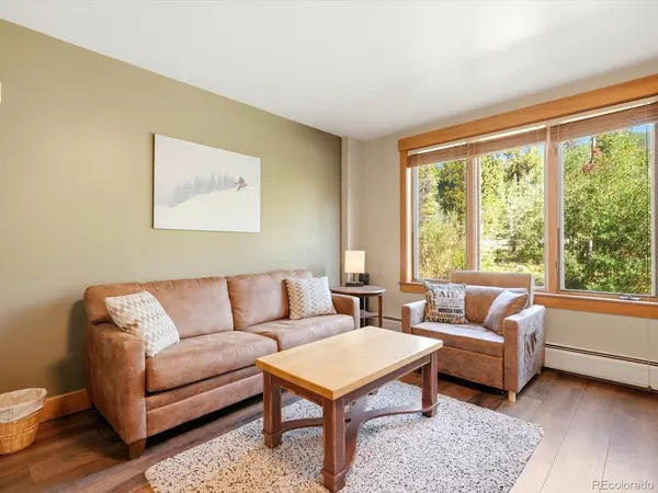 53 Hunkidori #8804, Dillon, CO 80435