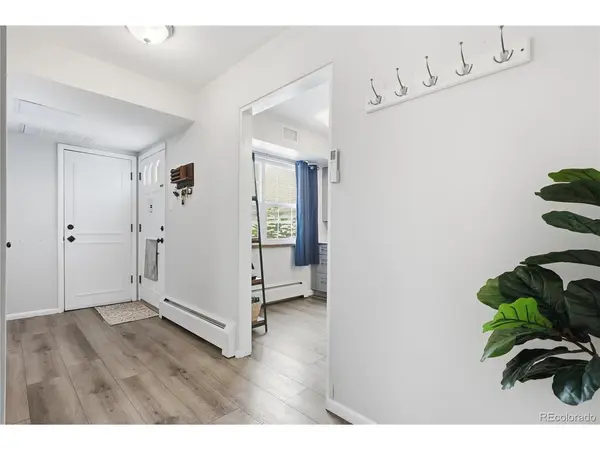 3536 S Ivanhoe, Denver, CO 80237