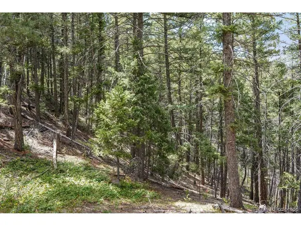 15947 S Perry Park, Palmer Lake, CO 80133