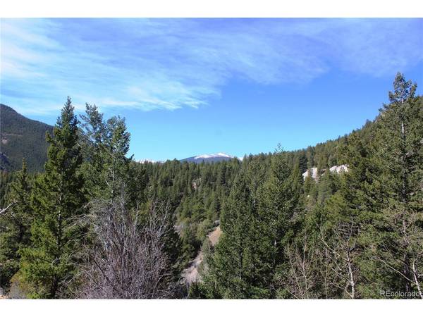 0 County Rd 308, Idaho Springs, CO 80436