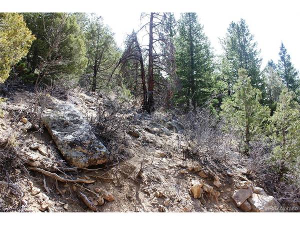 0 County Rd 308, Idaho Springs, CO 80436