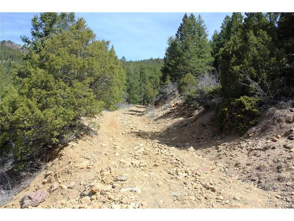 0 County Rd 308, Idaho Springs, CO 80436