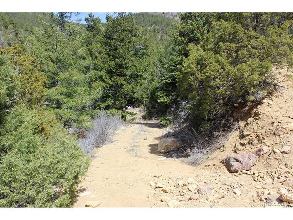0 County Rd 308, Idaho Springs, CO 80436