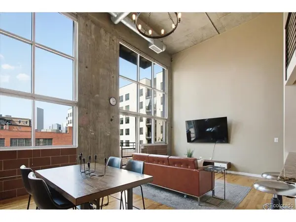1050 Cherokee #304, Denver, CO 80204