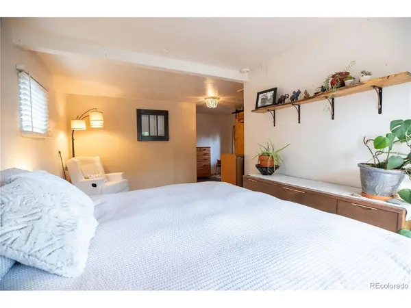 128 N Gunnison, Buena Vista, CO 81211