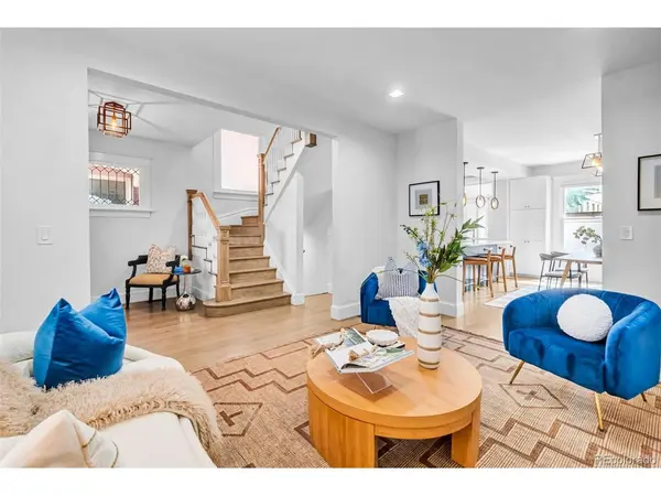 960 N Downing, Denver, CO 80218