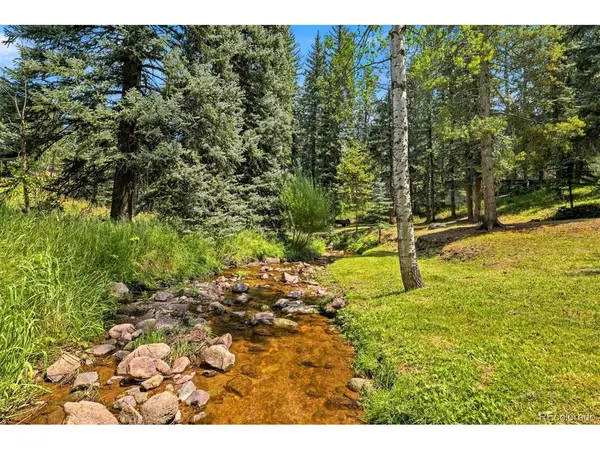 7006 S Brook Forest, Evergreen, CO 80439