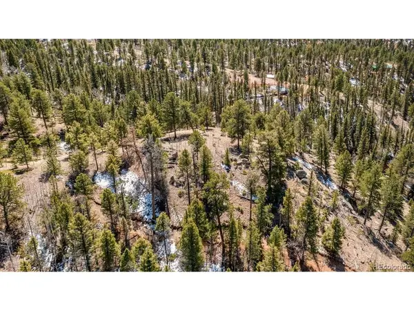 196 Beaver Creek, Florissant, CO 80816