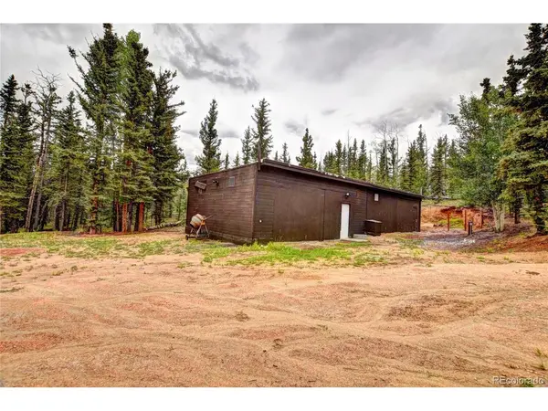 38 Grebe, Como, CO 80456