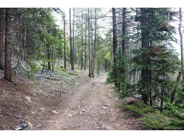 1 Broomfeild Gulch, Black Hawk, CO 80422