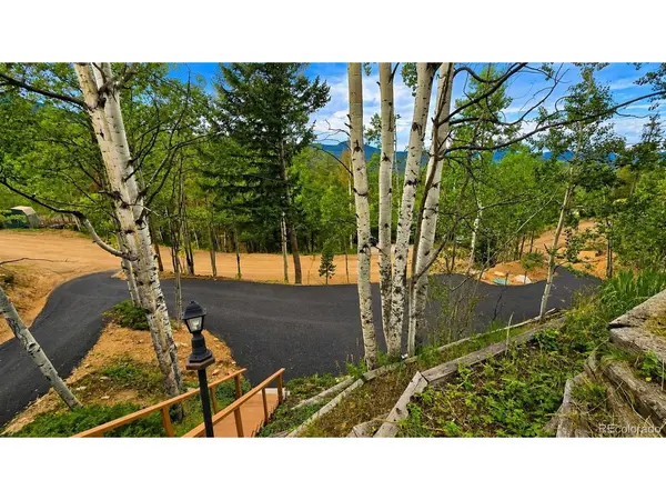8680 London, Conifer, CO 80433