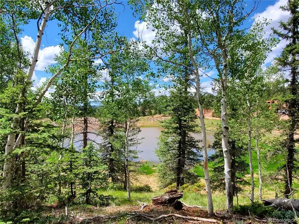 1076 Spring Valley, Florissant, CO 80816