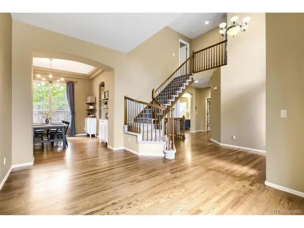 9837 Cypress Point, Lone Tree, CO 80124