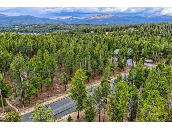 848 Baby Doe, Leadville, CO 80461