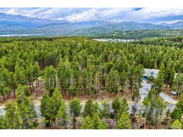 848 Baby Doe, Leadville, CO 80461