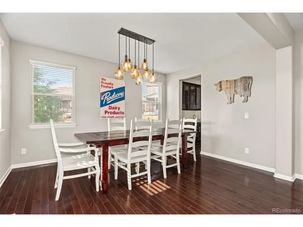 7159 Oasis, Castle Rock, CO 80108