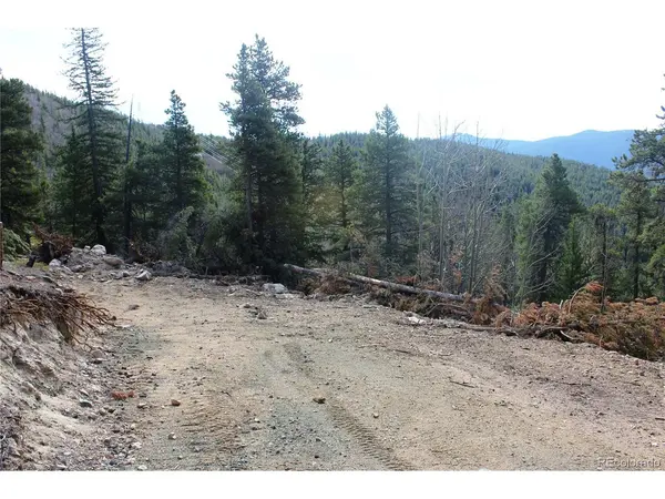 4 Lamertine, Idaho Springs, CO 80452