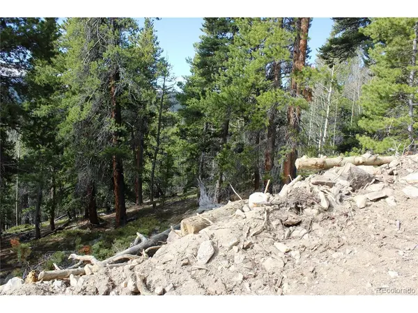 4 Lamertine, Idaho Springs, CO 80452