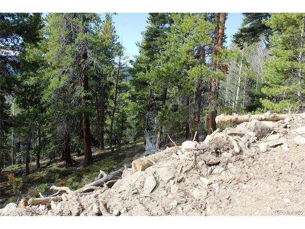 4 Lamertine, Idaho Springs, CO 80452
