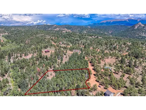 105 Carlton, Florissant, CO 80816