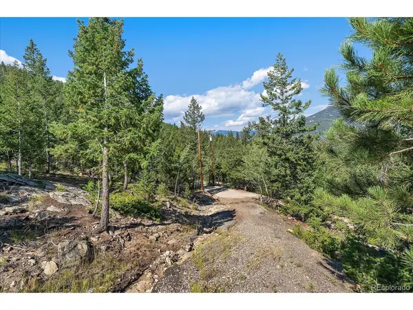 33844 Bergen View, Evergreen, CO 80439