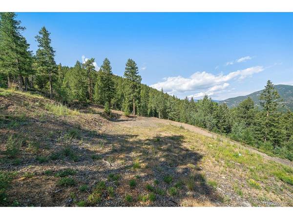 33844 Bergen View, Evergreen, CO 80439