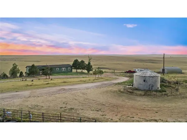 23225 County Road 125, Simla, CO 80835