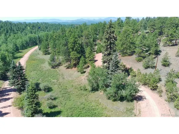 719 Spring Valley, Florissant, CO 80816