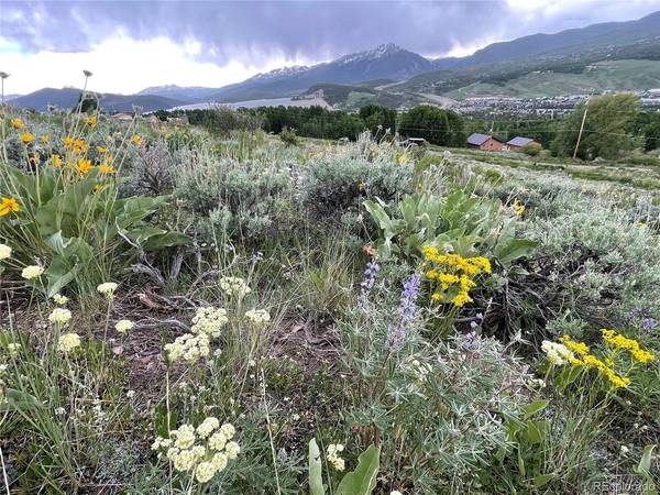 371 Z, Silverthorne, CO 80498
