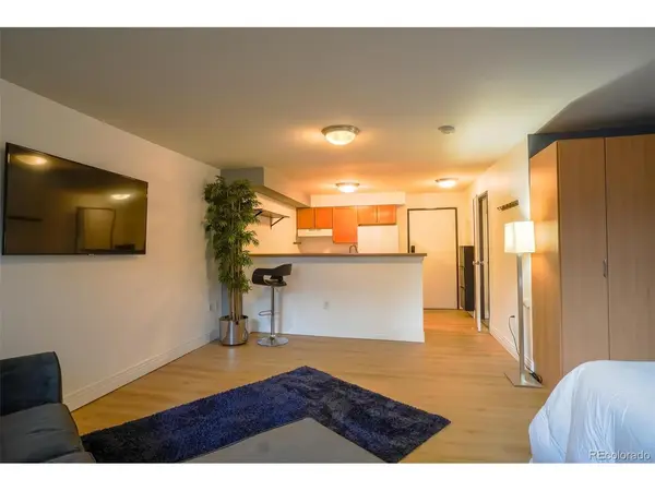 1196 N Grant #113, Denver, CO 80203