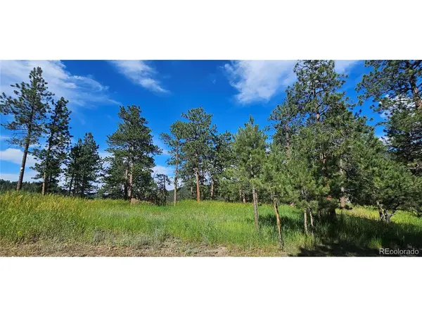 27903 Pine, Evergreen, CO 80439