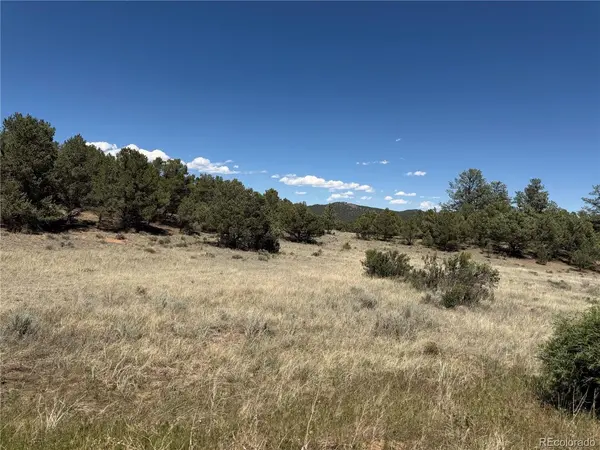 520 W View, Cotopaxi, CO 81223