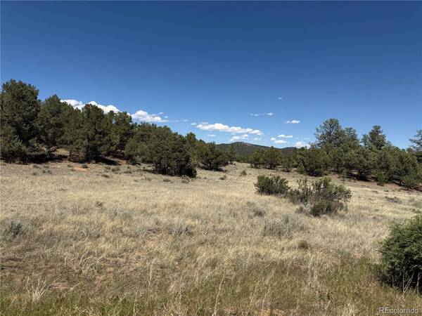 520 W View, Cotopaxi, CO 81223